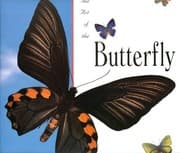 Tapa de The art of the butterfly