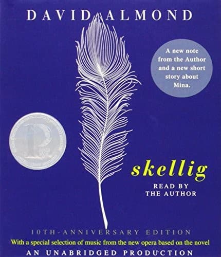 Tapa de Skellig