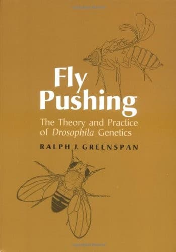 Tapa de Fly pushing