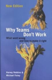 Tapa de Why Teams Don't Work