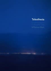 Tapa de Telesthesia: Communication, Culture and Class
