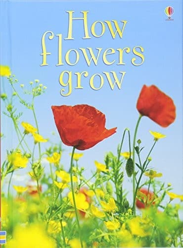 Tapa de How Flowers Grow