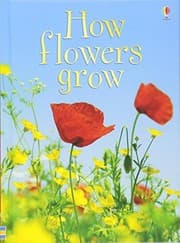 Tapa de How Flowers Grow