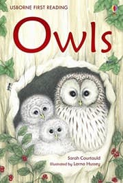 Tapa de Owls