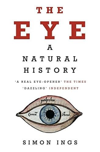 Tapa de The Eye