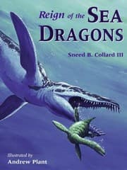 Tapa de Reign of the Sea Dragons