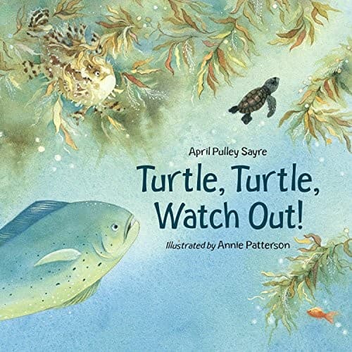 Tapa de Turtle, Turtle, Watch Out!