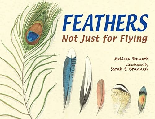 Tapa de Feathers: Not Just for Flying