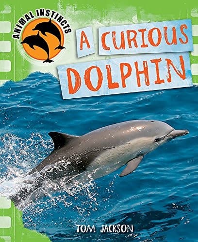 Tapa de Curious Dolphin