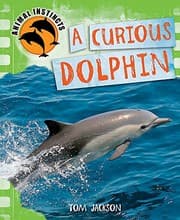 Tapa de Curious Dolphin