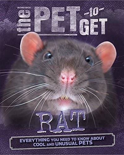 Tapa de Rat (Pet to Get)