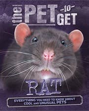 Tapa de Rat (Pet to Get)