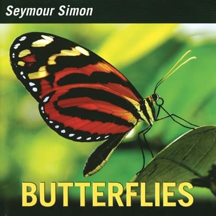 Tapa de Butterflies