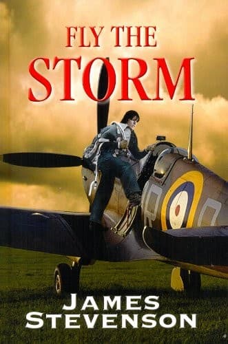 Tapa de Fly The Storm