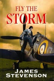 Tapa de Fly The Storm