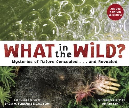 Tapa de What in the Wild?