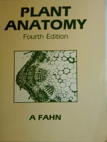 Tapa de Plant anatomy