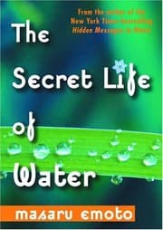 Tapa de The Secret Life of Water