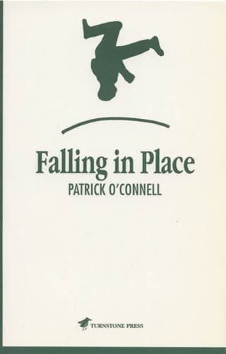 Tapa de Falling in place
