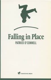 Tapa de Falling in place