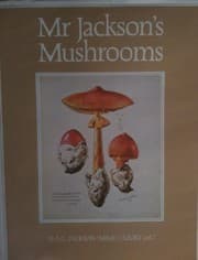 Tapa de Mr. Jackson's Mushrooms