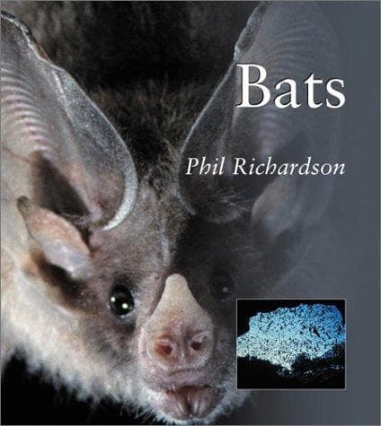 Tapa de BATS