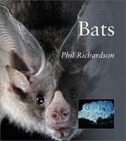 Tapa de BATS