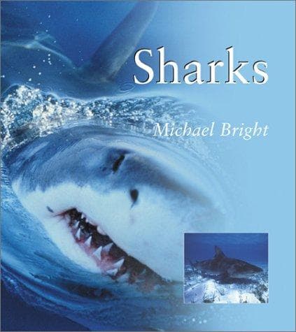 Tapa de SHARKS