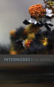 Tapa de Internodes