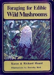 Tapa de Foraging for edible wild mushrooms