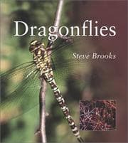 Tapa de DRAGONFLIES