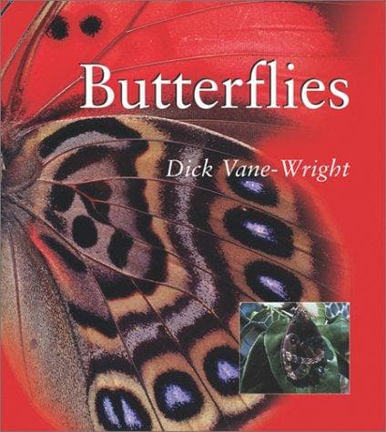 Tapa de BUTTERFLIES