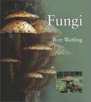 Tapa de FUNGI