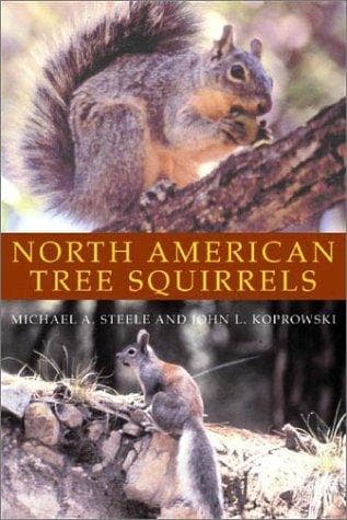 Tapa de North American tree squirrels