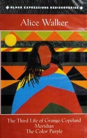 Tapa de Color Purple / Meridian / Third Life of Grange Copeland
