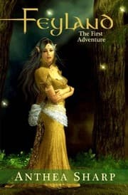 Tapa de Feyland: The First Adventure