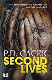 Tapa de Second Lives (Fiction Without Frontiers)