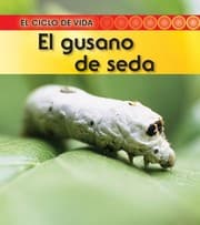 Tapa de El gusano de seda