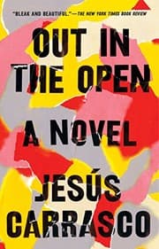 Tapa de Out in the Open: A Novel