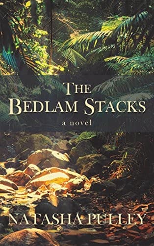 Tapa de The Bedlam Stacks