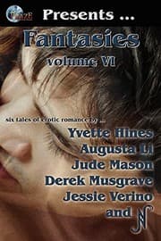 Tapa de Phaze Fantasies, Vol. VI