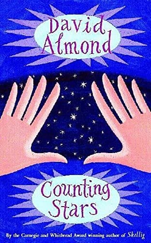 Tapa de Counting Stars