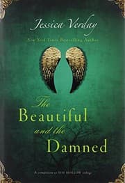 Tapa de The Beautiful and the Damned
