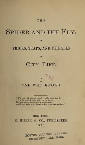 Tapa de The spider and the fly