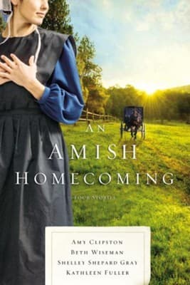 Tapa de An Amish Homecoming