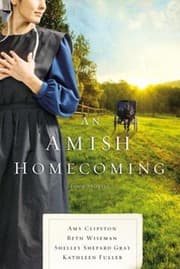 Tapa de An Amish Homecoming