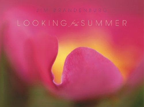 Tapa de Looking for the Summer
