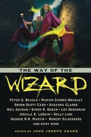 Tapa de The Way of the Wizard