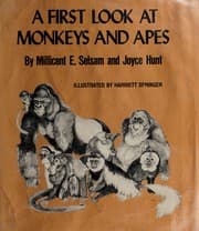 Tapa de A first look at monkeys and apes