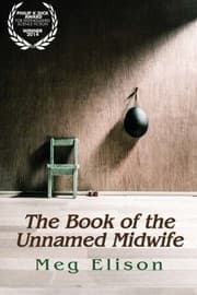 Tapa de The Book of the Unnamed Midwife